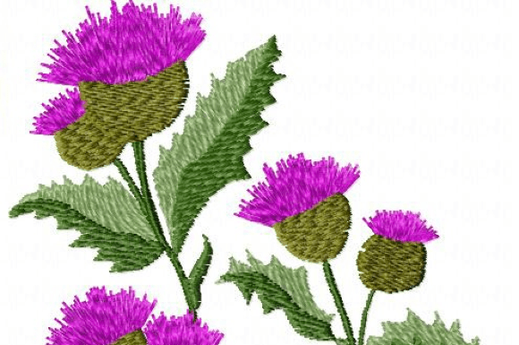 Wildflowers Embroidery Design Review